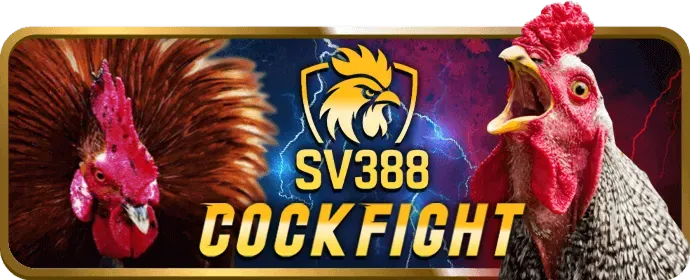 Các kênh mạng xã hội chính thức của HI88VIP8